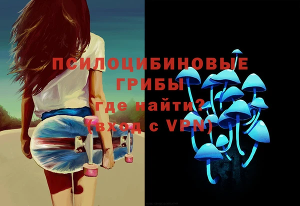 спиды Алексеевка