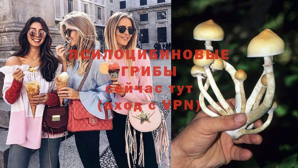 спиды Алексеевка
