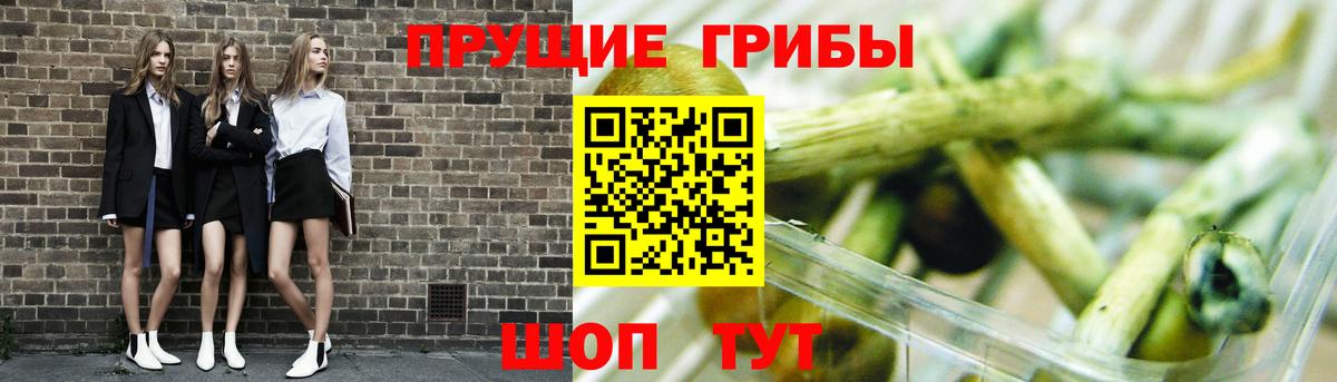 Псилоцибиновые грибы ЛСД  Галлюциногенные грибы GOLDEN TEACHER  Вход с VPN  Арсеньев 